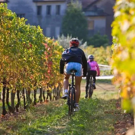 Appartement Ocean Flat