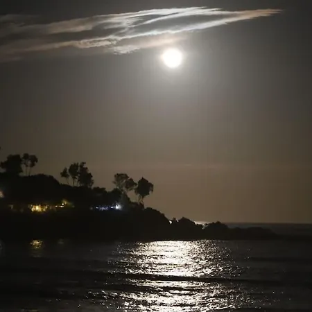 Appartement Ocean Flat *