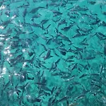 Ocean Flat *
