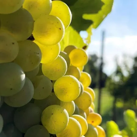 Ocean Flat Кальяри