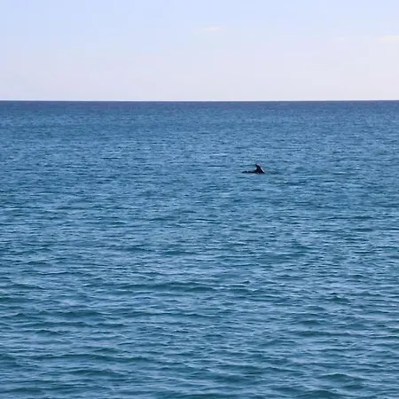 Ocean Flat Апартаменты