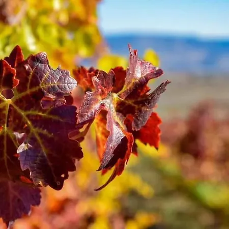 Ocean Flat Апартаменты