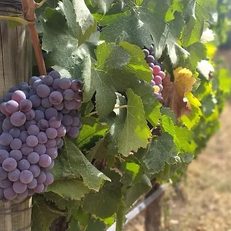 Апартаменты Ocean Flat