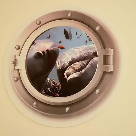 Ocean Flat Апартаменты