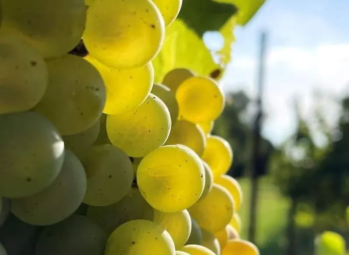 Ocean Flat カリアリ