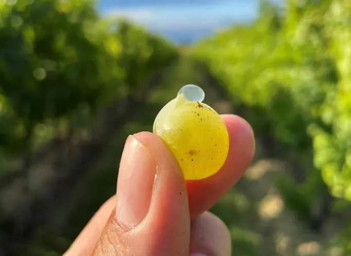 Ocean Flat * カリアリ