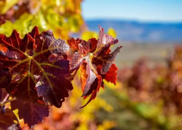 Ocean Flat アパート