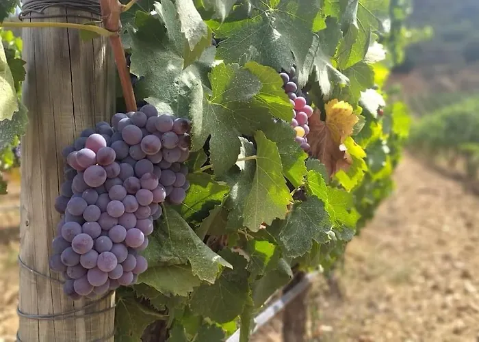 アパート Ocean Flat